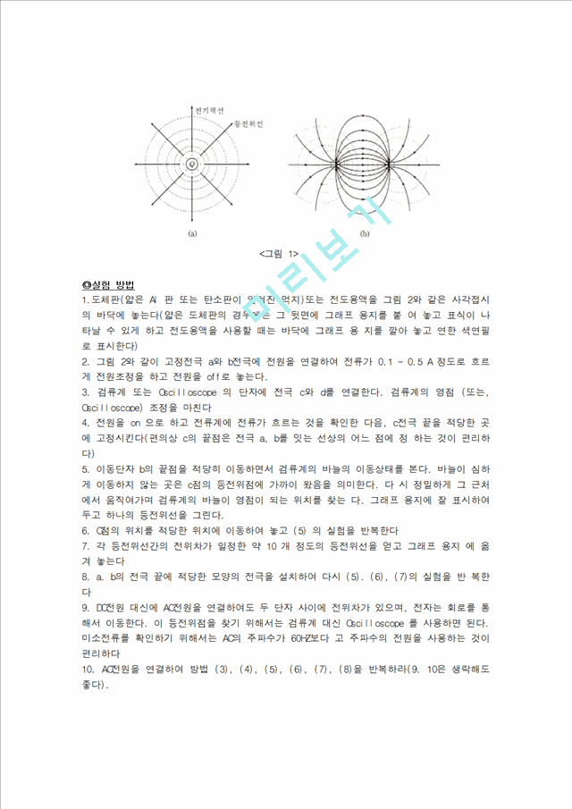 [물리학실험 레포트 보고서] 등전위선(도전판).hwp